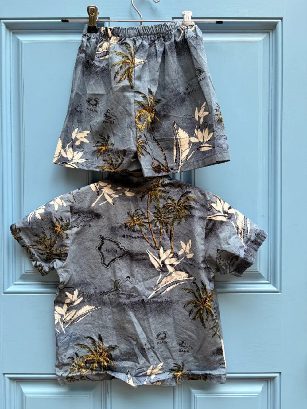 Palmwave Hawaii Blue Tropical Palm Print Shirt & Shorts Set